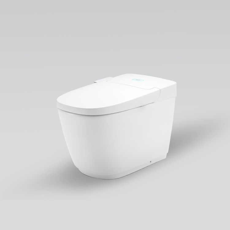 Bồn cầu điện tử INAX AC-816VN (SARAS Light E)