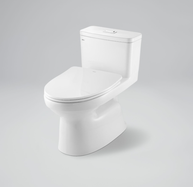 Bồn cầu 1 khối AC-969VN-2