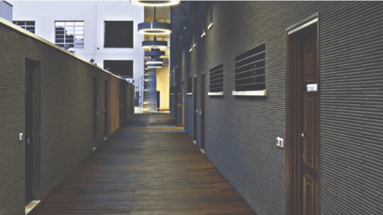 Hình ảnh thực tế của gạch HOSOWARI BORDER