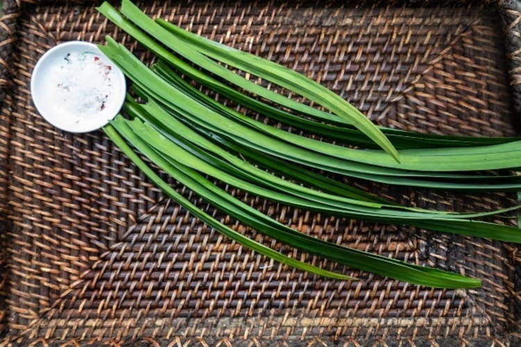 Khử mùi hôi trong nhà vệ sinh bằng hương thơm đặc trưng của lá dứa