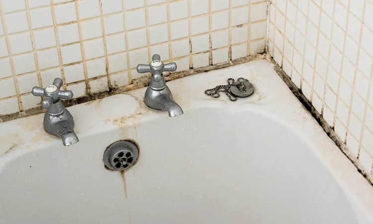 Tại sao nhà vệ sinh có mùi hôi khó chịu