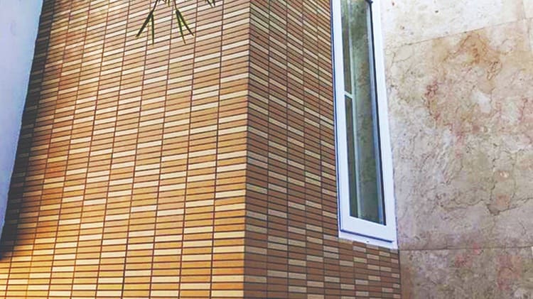 Hình ảnh thực tế của gạch 355/EAC-EARTH COLOR BORDER