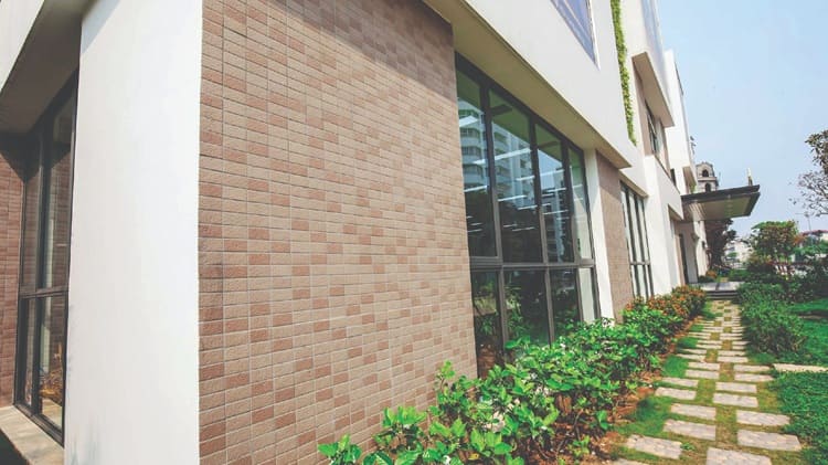 Hình ảnh thực tế của gạch 255-VIZ