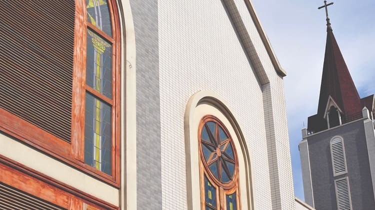 Hình ảnh thực tế của gạch 255-VIZ