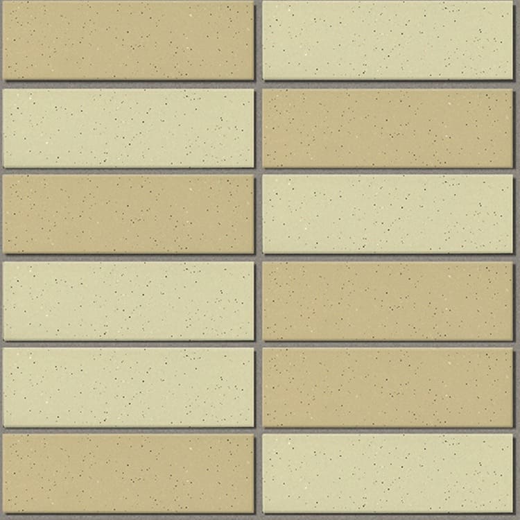 Các mẫu gạch 355/EAC-EARTH COLOR BORDER