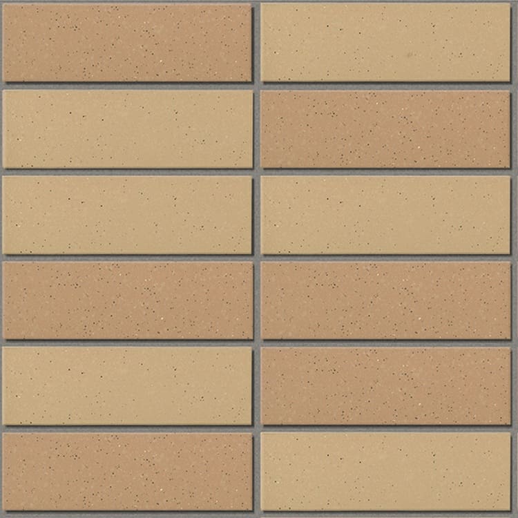 Các mẫu gạch 355/EAC-EARTH COLOR BORDER
