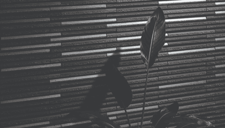 Hình ảnh thực tế của gạch HOSOWARI BORDER RANDOM