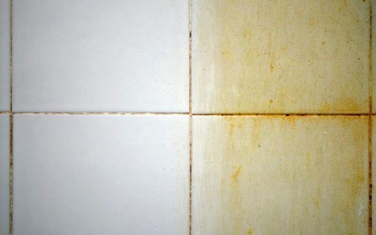 Tại sao gạch bị ố vàng