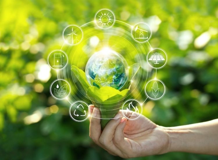 Sống tối giản là một trong những giải pháp giúp bảo vệ môi trường