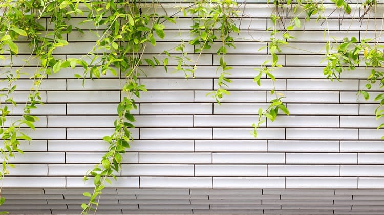 Mẫu thiết kế nhà với gạch R-Border