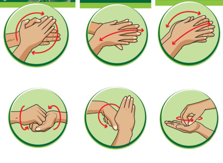 Chi tiết quy trình 6 bước rửa tay thường quy theo chuẩn Bộ Y tế