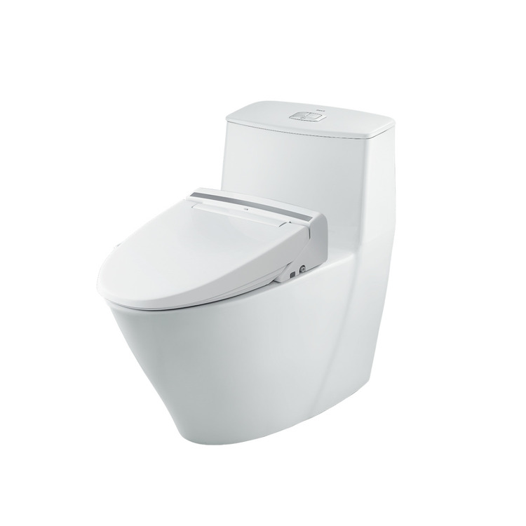 Sử dụng bồn cầu kết hợp nắp rửa điện tử giúp người dùng tối ưu ngân sách và mang lại trải nghiệm tiện nghi, thoải mái