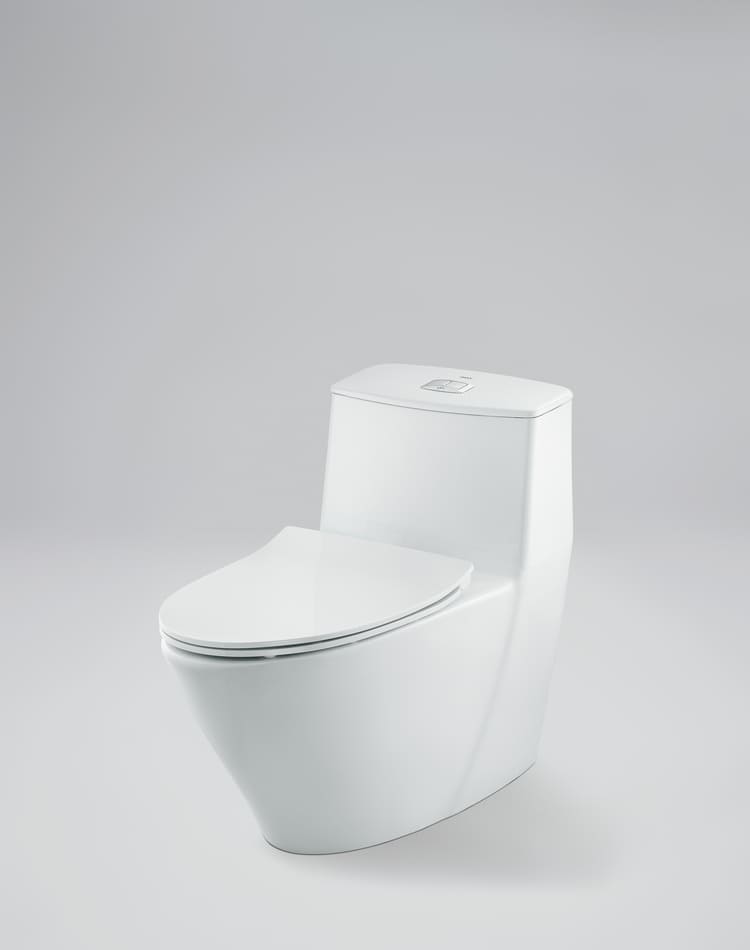 Bồn cầu xả xoáy kép INAX AC-919VRN