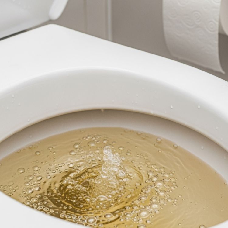 Dấu hiệu đường cống bị nghẹt