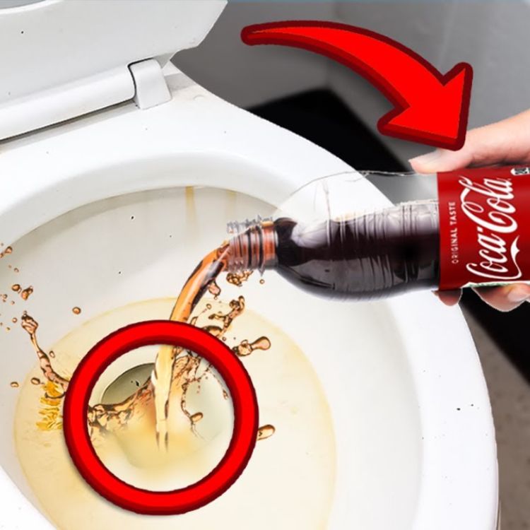 Cách thông cống siêu nhanh mà không cần gọi thợ bằng Coca Cola