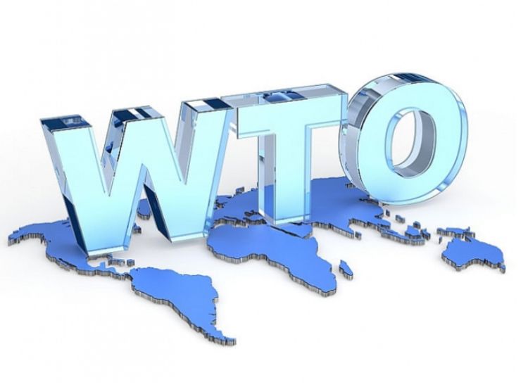 Nguồn gốc và lịch sử của ngày Quốc tế bồn cầu