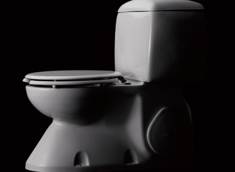 Ý nghĩa của ngày Toilet thế giới