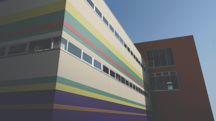 Hình ảnh thực tế của gạch DPL POINT COLOR