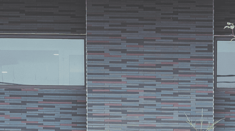 Hình ảnh thực tế của gạch ốp tường SB-STONE BORDER 5