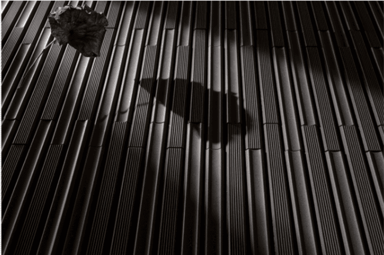 Hình ảnh thực tế của gạch TAKEBORDER 2