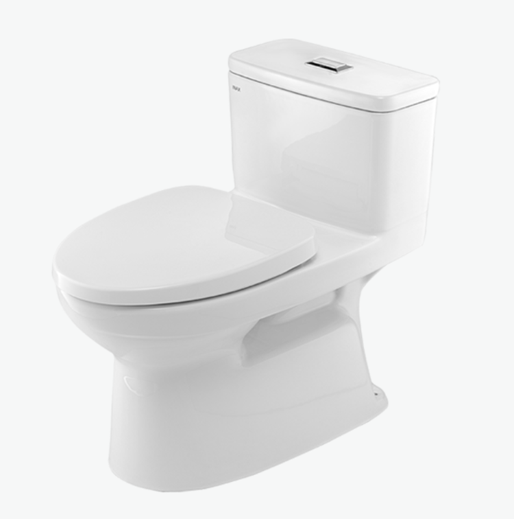 Bồn cầu 1 khối AC-969VN