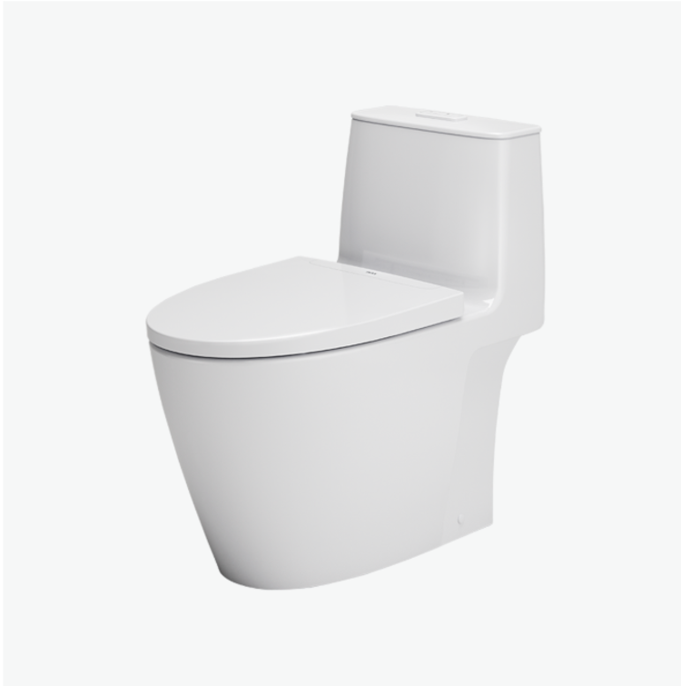 Bồn cầu 1 khối AC-909VN