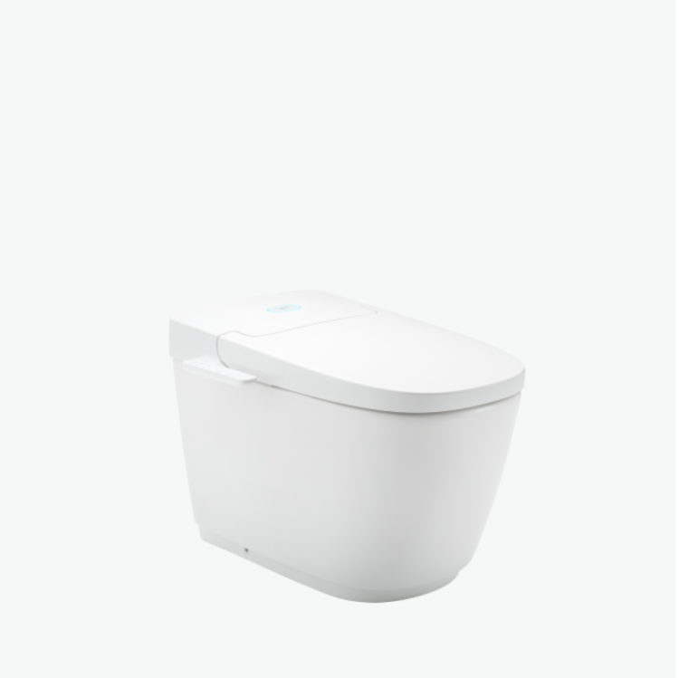 Bồn cầu điện tử AC-816VN